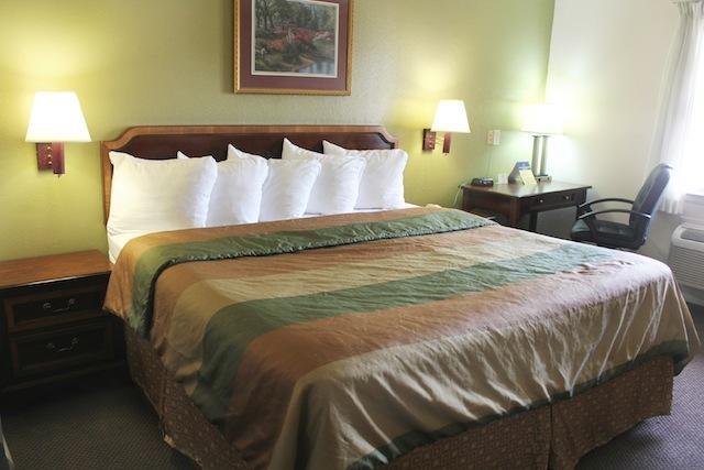 Rodeway Inn & Suites Nashville Kamer foto